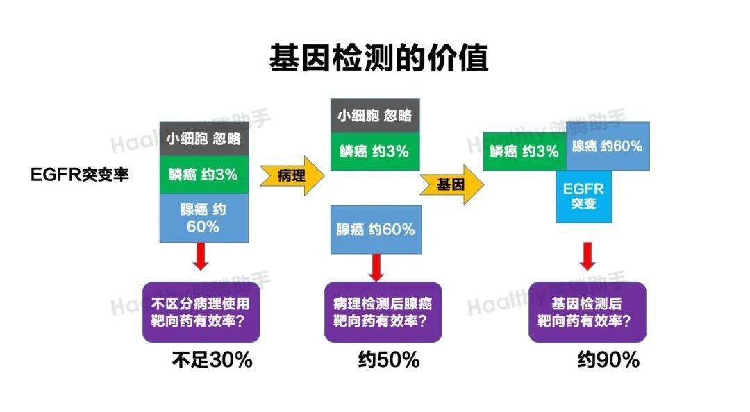 免費(fèi)獲取最新版新澳精準(zhǔn)資料，提升決策效率的智慧之選