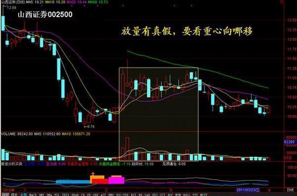 香港資料大全，2015年8月正版資料的全面指南