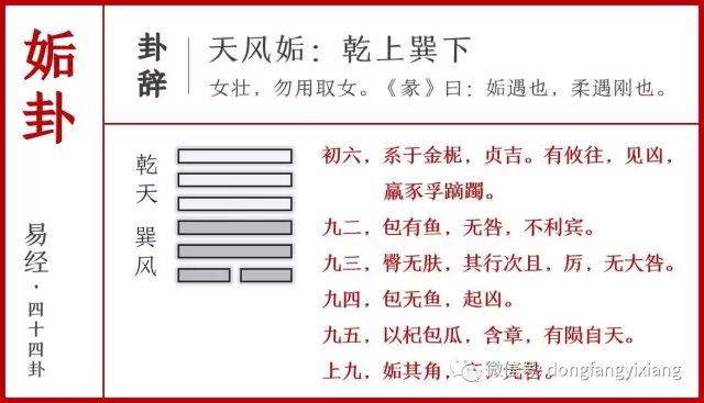 揭秘二四六玄機(jī)圖，資料大全詳解與最新解析