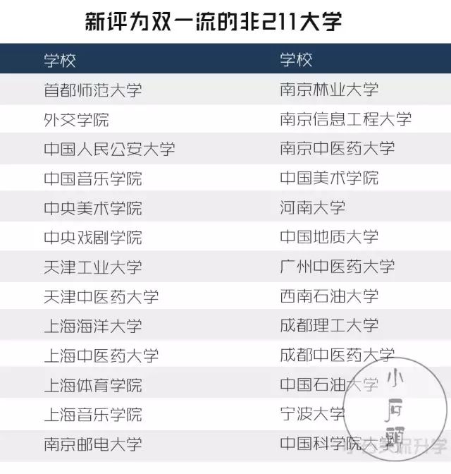 揭秘二四六天天玄機(jī)圖，2019最新標(biāo)準(zhǔn)與深度解析