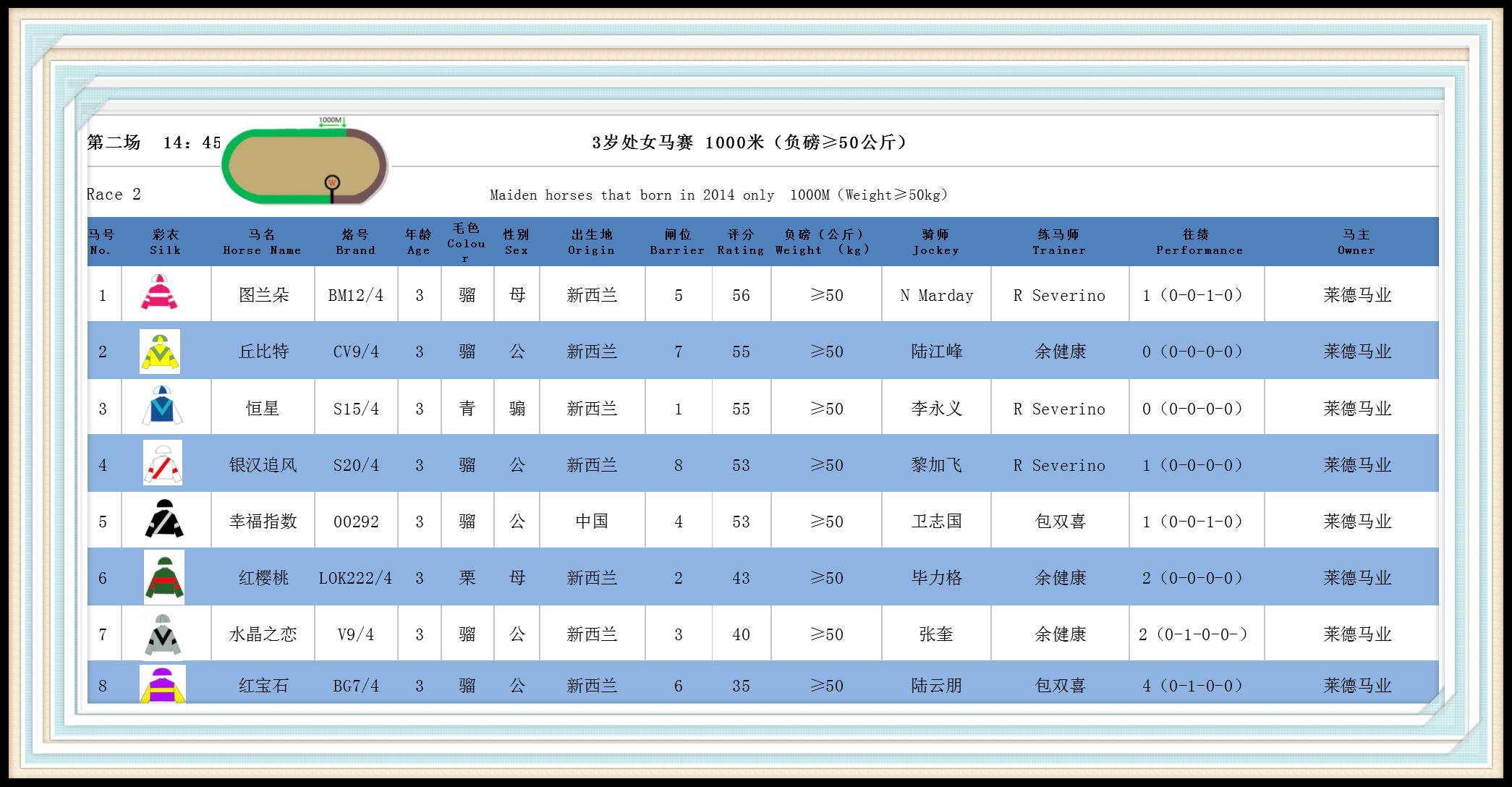 馬會(huì)傳真1326-CC使用說(shuō)明指南，解鎖精彩賽馬體驗(yàn)的鑰匙