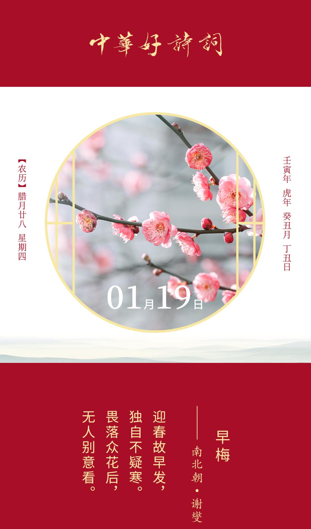 探秘正版香港資料，梅花四字詩(shī)的獨(dú)特魅力