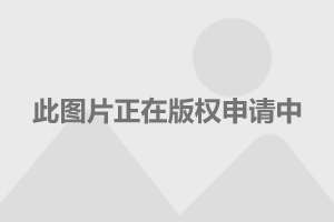 探索香港資訊的寶藏之地，揭秘香江論壇——全港資料最豐富的在線交流平臺(tái)