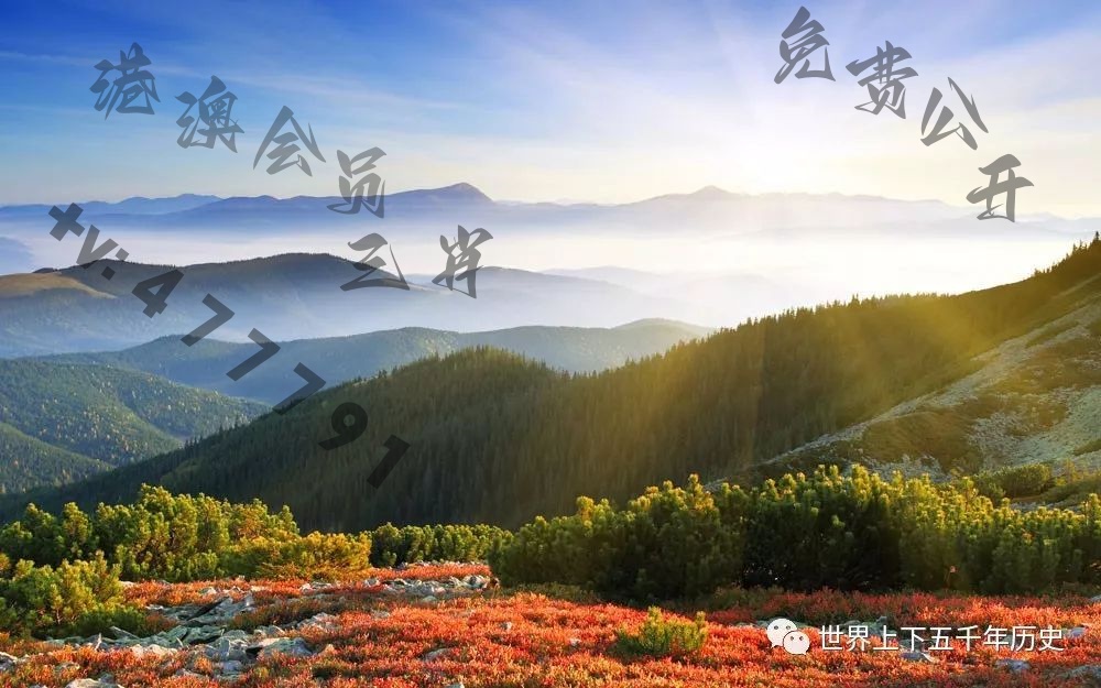 探索新澳現(xiàn)場(chǎng)開獎(jiǎng)的最新動(dòng)態(tài)，今日結(jié)果揭秘