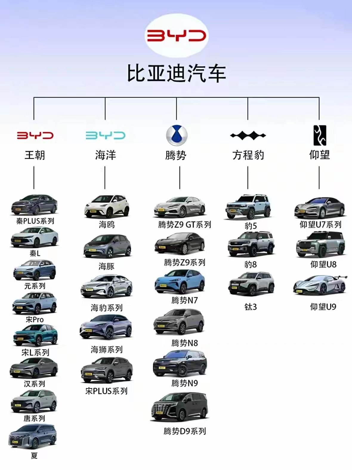 比亞迪汽車車型大全，從經(jīng)典到未來，探索中國(guó)新能源汽車的無限可能