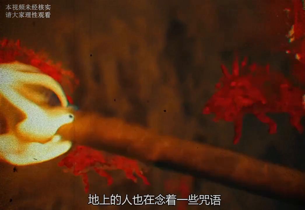 揭秘749局，國語版在線觀看背后的神秘與真相