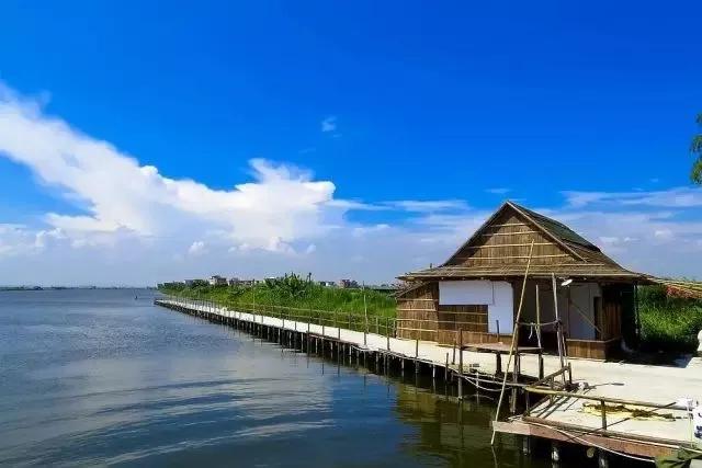 探秘海鷗島，沙灘之魅，自然之美