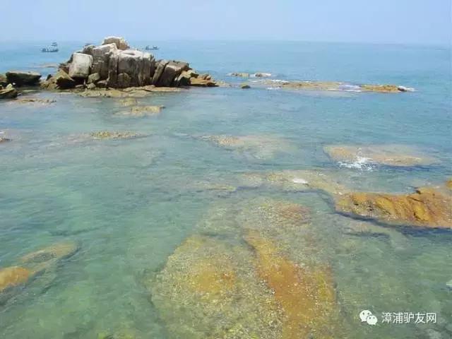 海鷗翱翔，一曲海天之間的浪漫交響