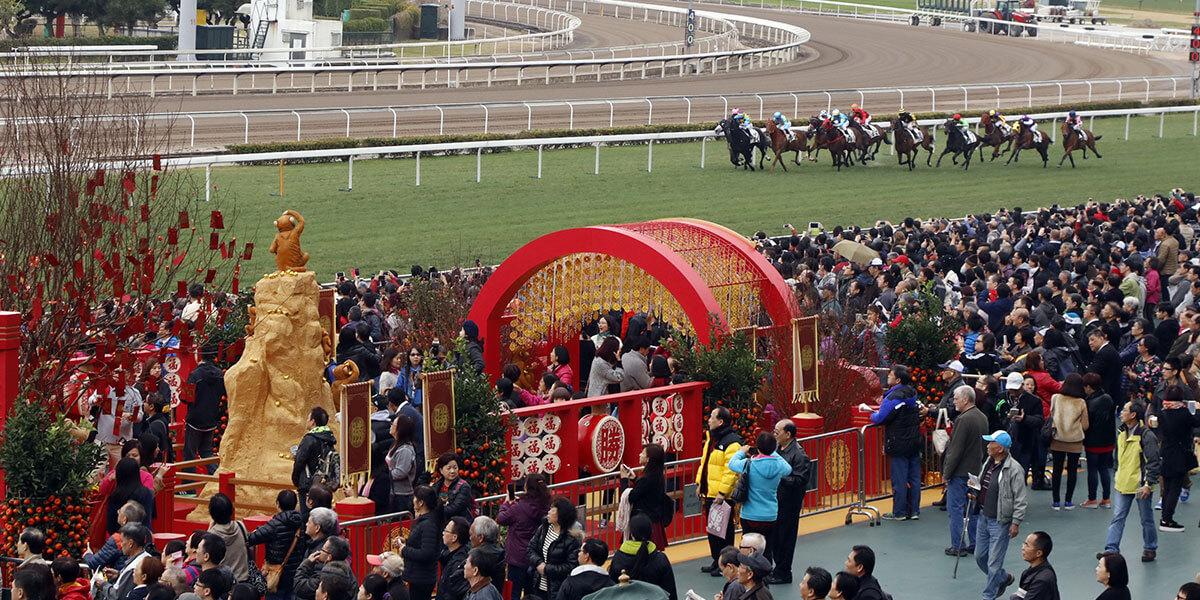 探索香港馬會(huì)免費(fèi)資料大全，解鎖賽馬的奧秘與文化