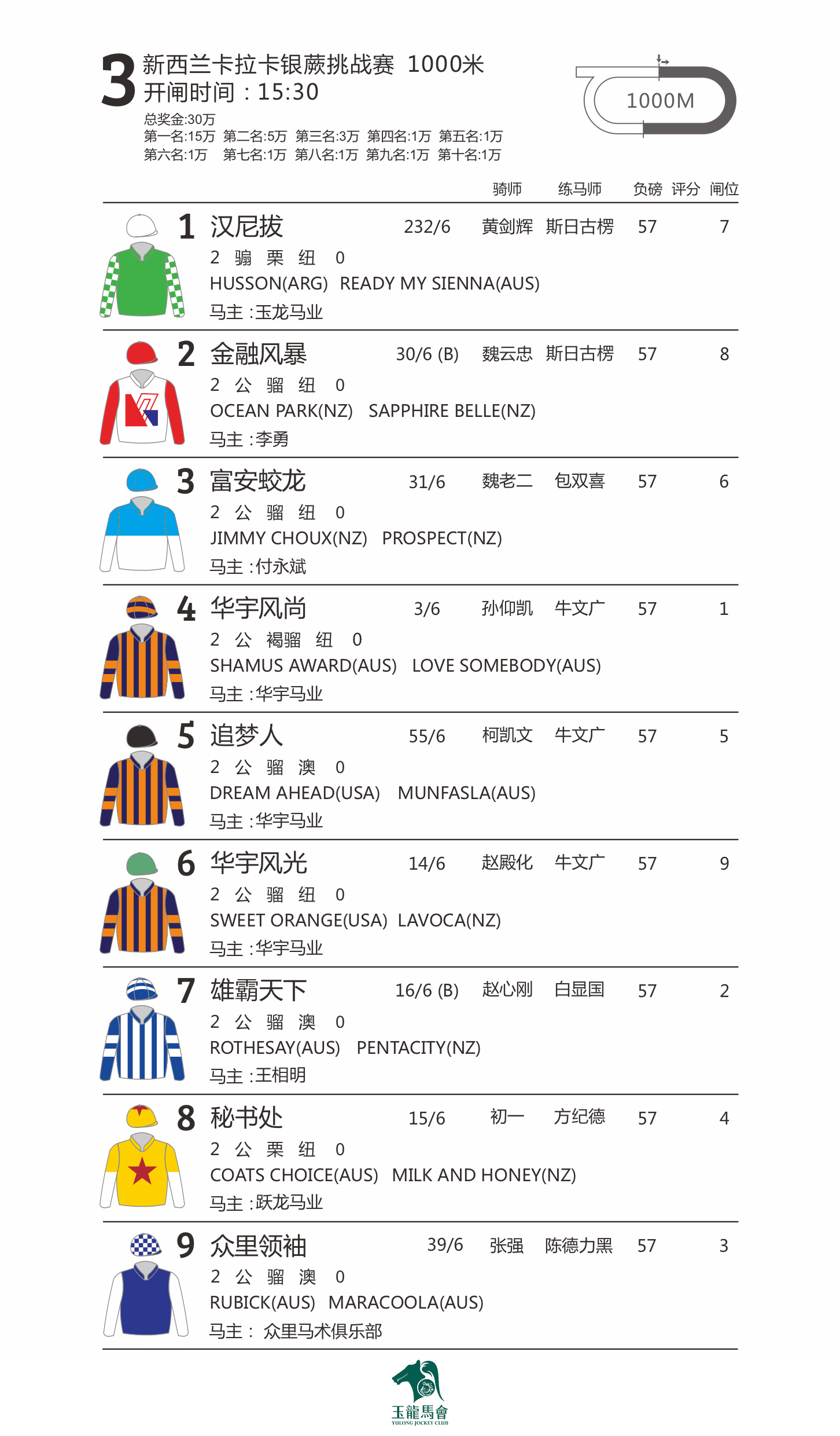 探索香港馬賽，全面解析與資料大全香港馬資料大資料大全梅花詩(shī)