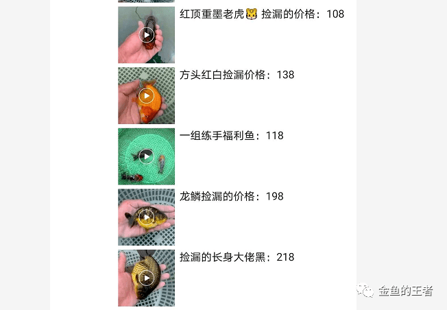 生活美好瞬間記錄器